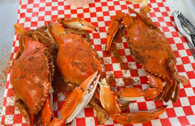 Whole seasoned blue crabs on checkered paper